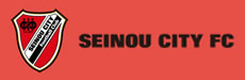 SEINOU CITY FC